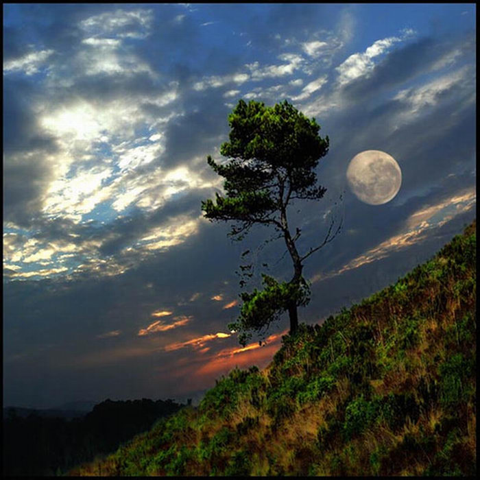 Потрясающие фотографии луны (13 фото)