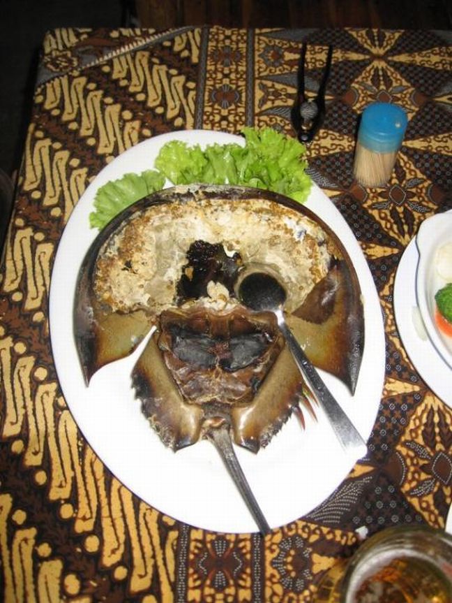 Horseshoe Crab Roe & Nast