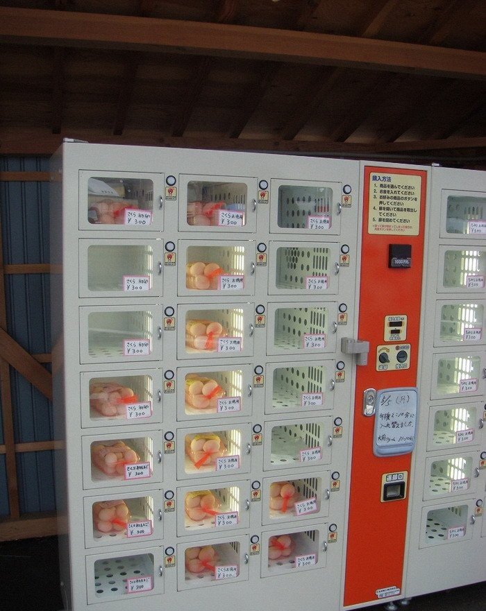 Чего только не продают Японские автоматы (10 фото)