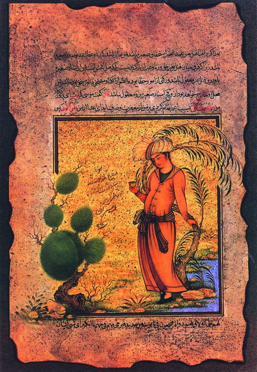 Персидские миниатюры (21 фото)